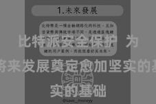 比特派安全保护  为其将来发展奠定愈加坚实的基础
