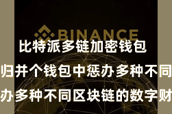 比特派多链加密钱包  用户不错在归并个钱包中惩办多种不同区块链的数字财富