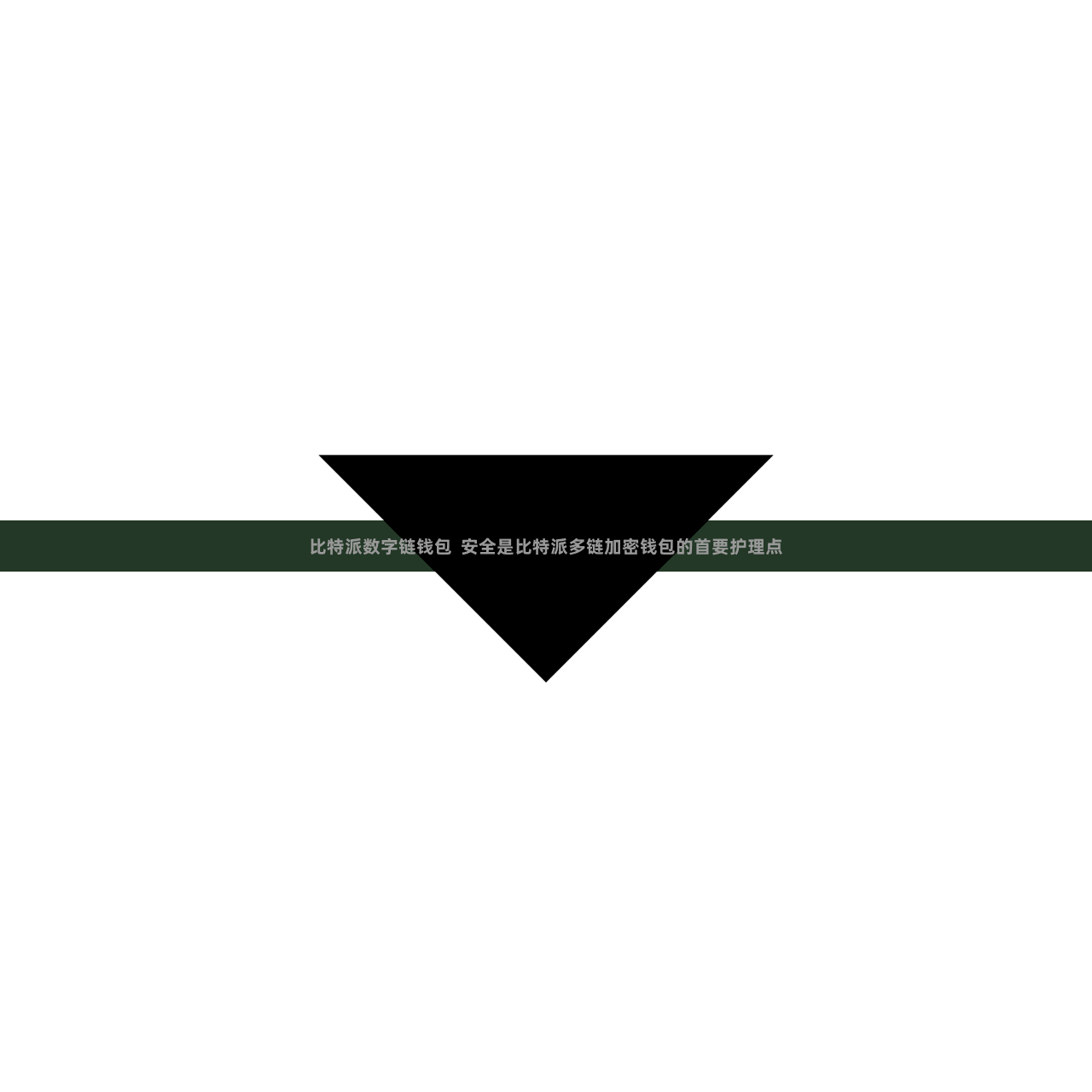 比特派数字链钱包  安全是比特派多链加密钱包的首要护理点