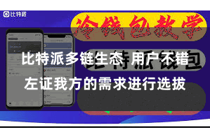 比特派多链生态  用户不错左证我方的需求进行选拔