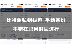 比特派私钥钱包  手动备份不错在职何时辰进行