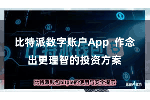 比特派数字账户App  作念出更理智的投资方案