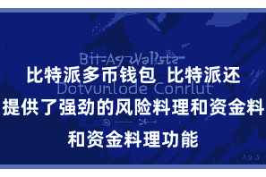 比特派多币钱包  比特派还为用户提供了强劲的风险料理和资金料理功能