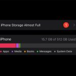 Bug iPhone Storage Almost Full