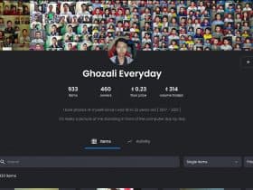 Profil OpenSea dari Ghozali Everyday